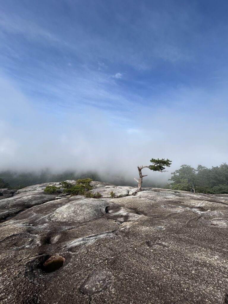 Stone Mountain State Park, NC