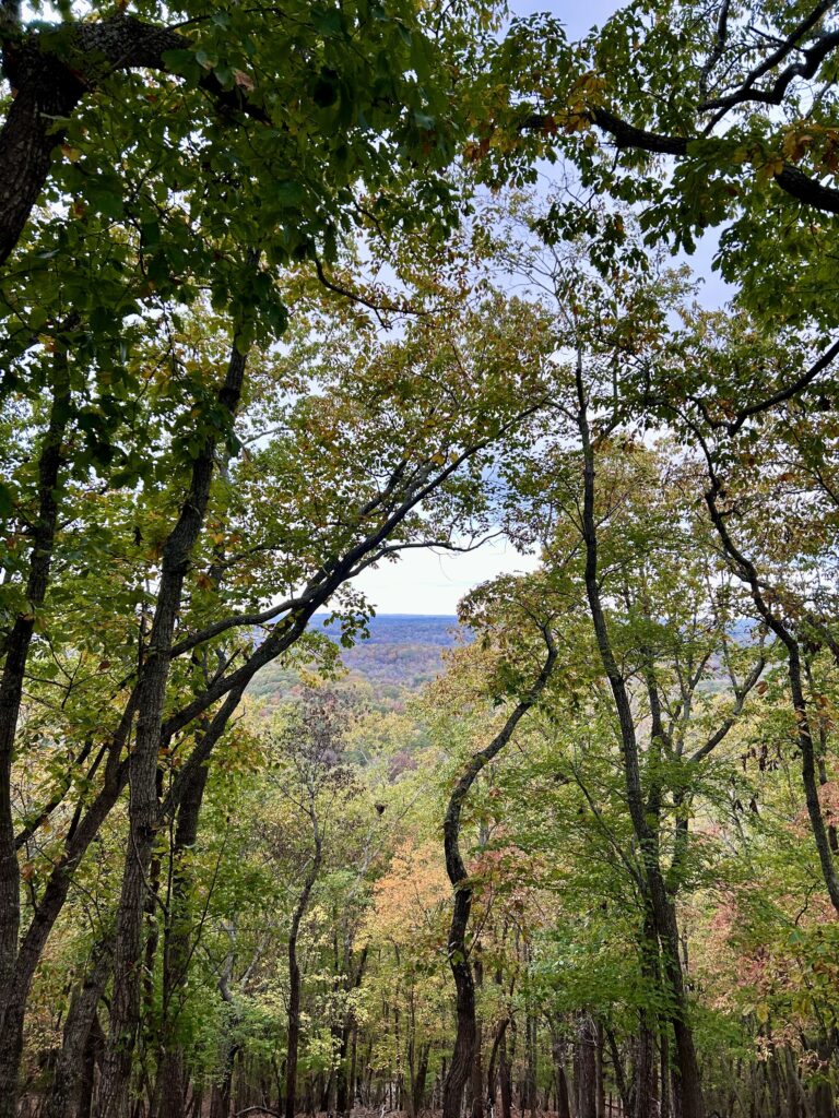 Morrow Mountain State Park