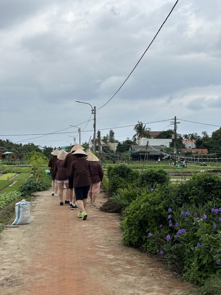 Làng Rau Trà Quế Hội An